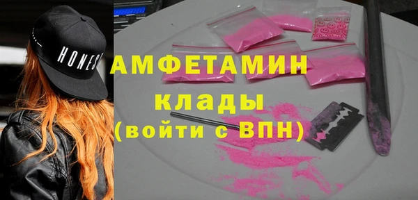 сатива Няндома