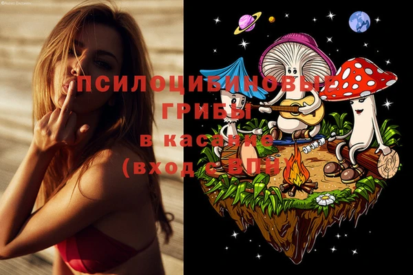 сатива Няндома
