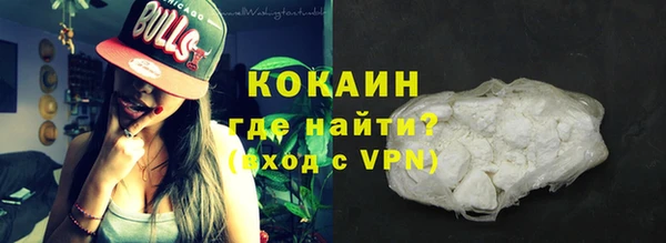 сатива Няндома