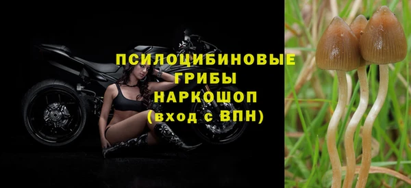 кокс Новокубанск
