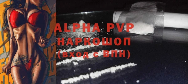 сатива Няндома