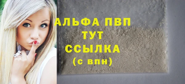 сатива Няндома