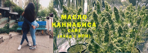 сатива Няндома
